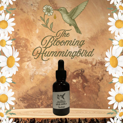 White Willow Tincture